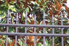 3354_alum fence with tri-finials #3