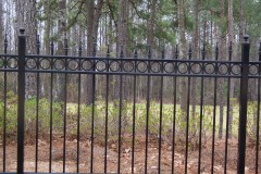 9569_arched alum fence with quad finials  & circles #1
