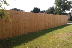 Pine Dog Ear Privacy-min